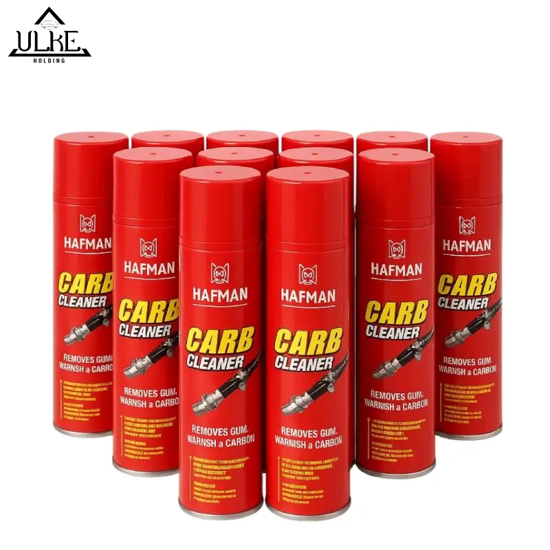 اسپری انژکتور شوی خودرو هافمن مدل professiional حجم 550 میلی لیتر-کارتن 12 عددی